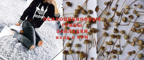 гидропоника Баксан