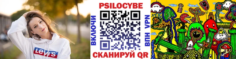закладки  Моршанск  Галлюциногенные грибы мухоморы 